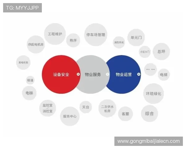 DB真人旗舰集团的安全保障措施与客户服务体系深度解析